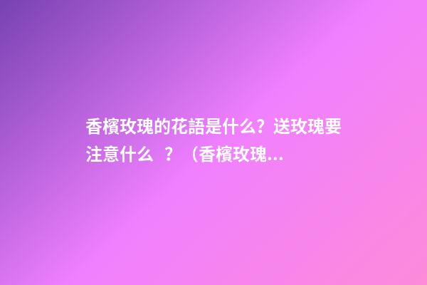 香檳玫瑰的花語是什么？送玫瑰要注意什么？（香檳玫瑰送朋友的花語是什么?）